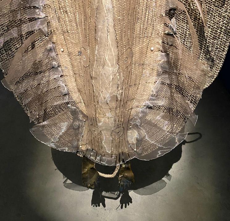 meriem bouderbala detail acacia talan.jpg (462.29 Ko)