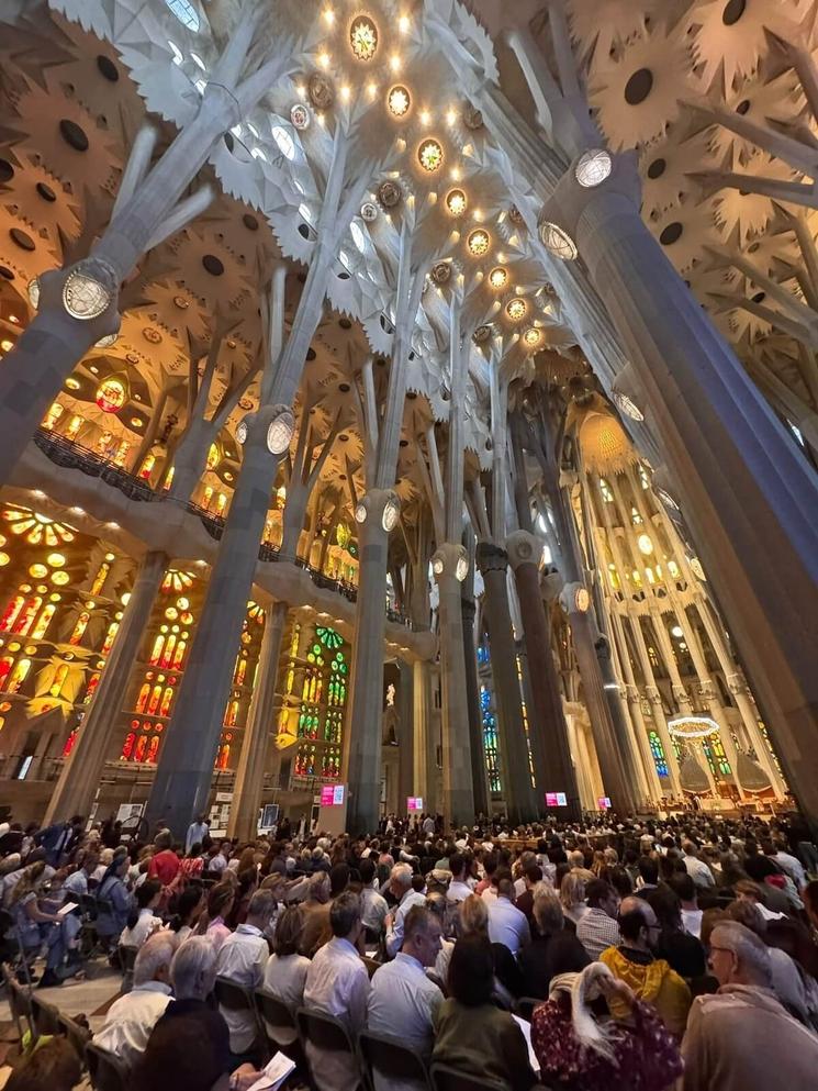voutes de la sagrada familia