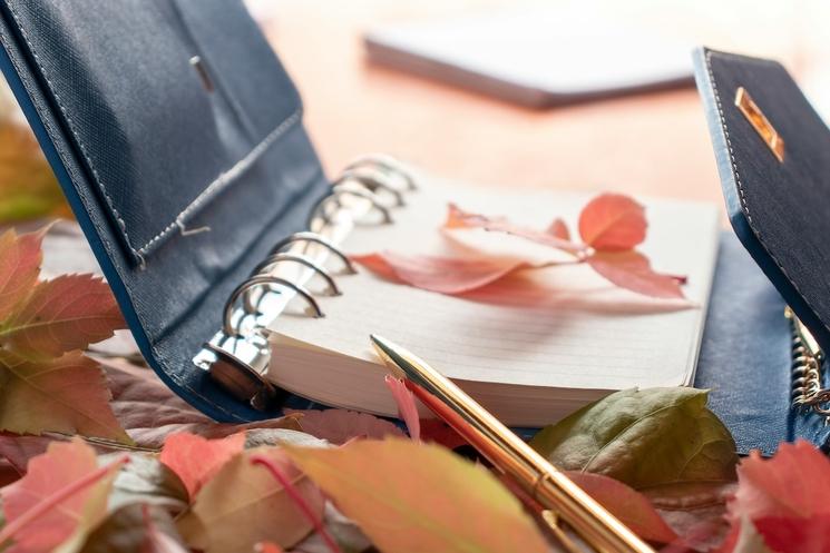 agenda scolaire