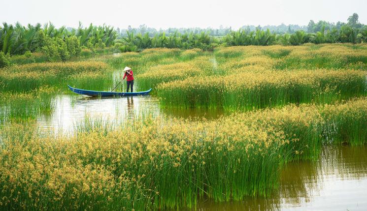 Montée des eaux et impact du changement climatique au Vietnam