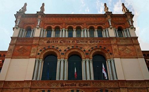 Musée histoire naturelle