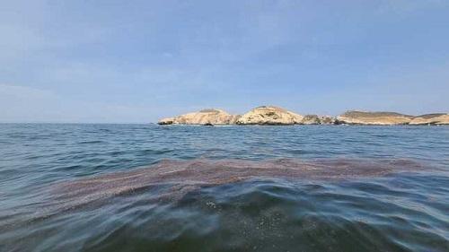 Urgence environnementale sur le rivage péruvien après l'éruption aux Tonga