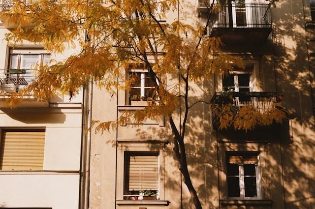Une facade avec l'ombre d'un arbre