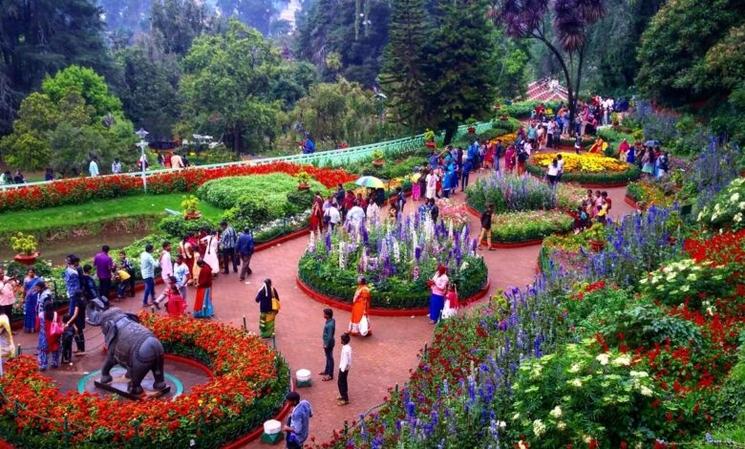 Ooty Varkey