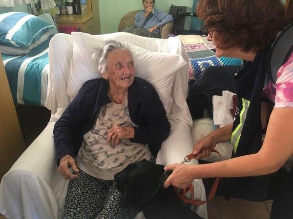 Oslo, gaelle dessus, chien guide d'aveugle, education de chien, chiots, labrador, johannesburg, pretoria, afrique du sud, humanitaire, carrière