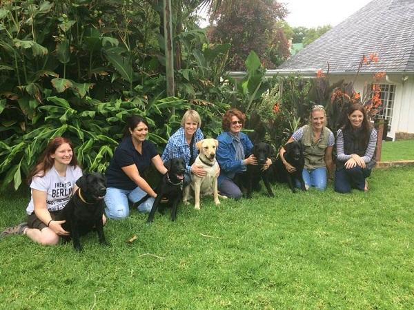 Oslo, gaelle dessus, chien guide d'aveugle, education de chien, chiots, labrador, johannesburg, pretoria, afrique du sud, humanitaire, carrière