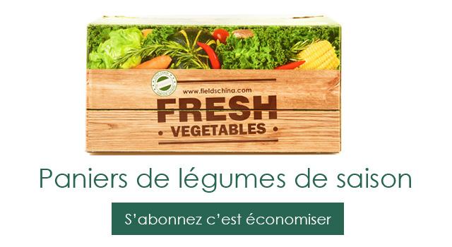 fields-chine-shanghai-fruits-legumes