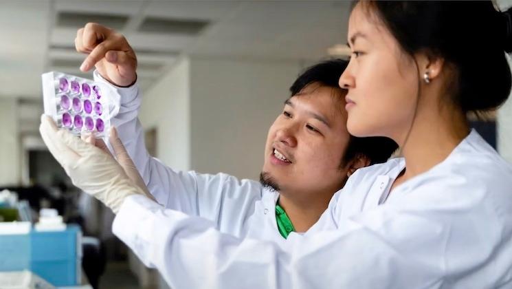 simon institut pasteur hong kong