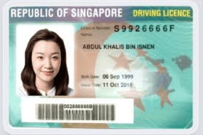 Spécimen de permis de conduire singapourien (© Expatica)