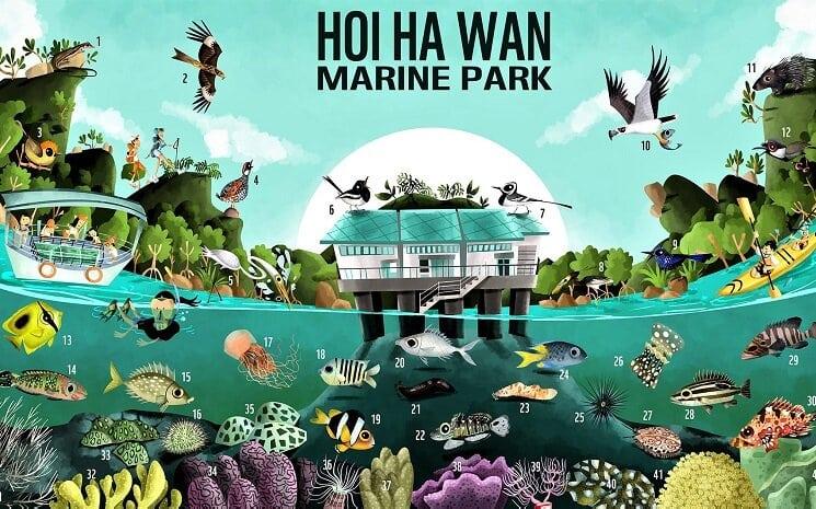 sorties nature découverte Hong Kong