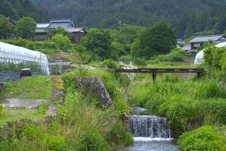 pont au dessus de l'eau