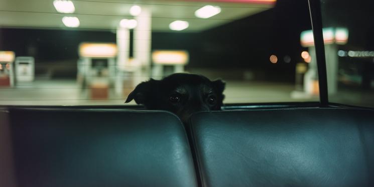 ©Nina Kopko