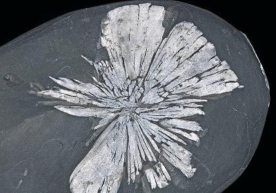 Les pierres semi-précieuses du Pérou, un trésor caché