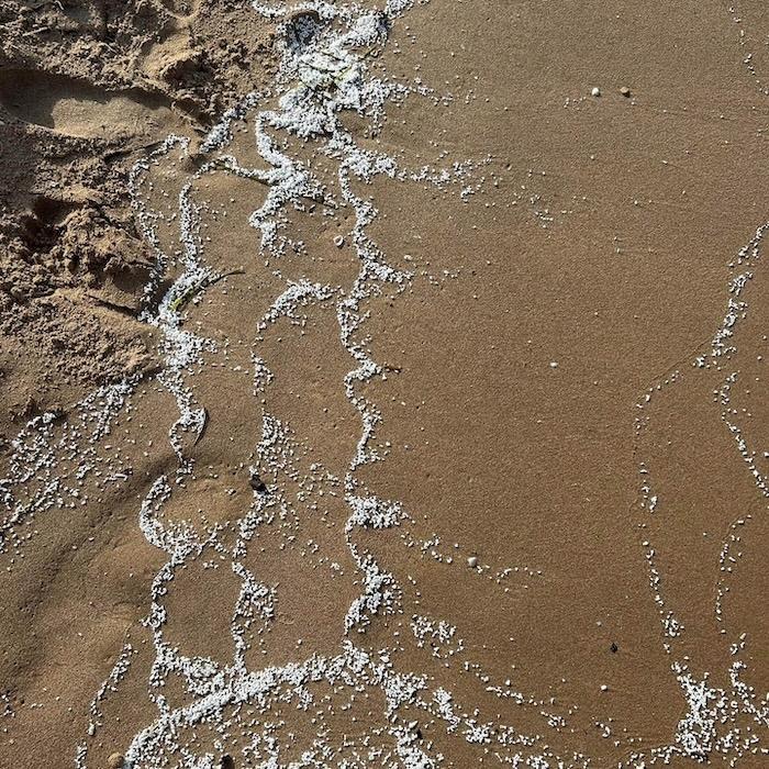 résidus blancs sur les plages de sable de la Safor du littoral valencien