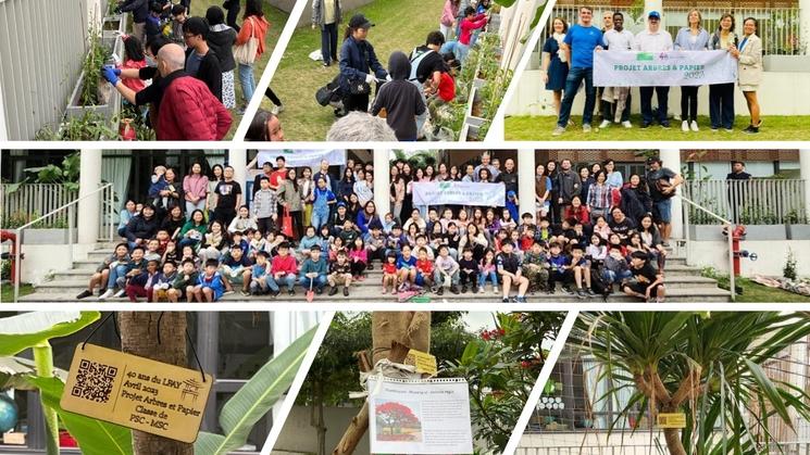 plantations des arbres à Alexandre Yersin