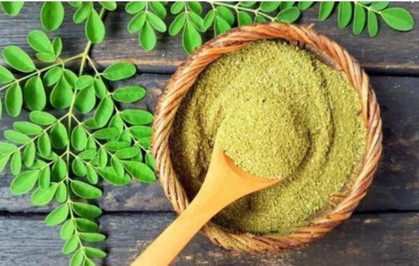 Poudre obtenue en pressant les feuilles de moringa