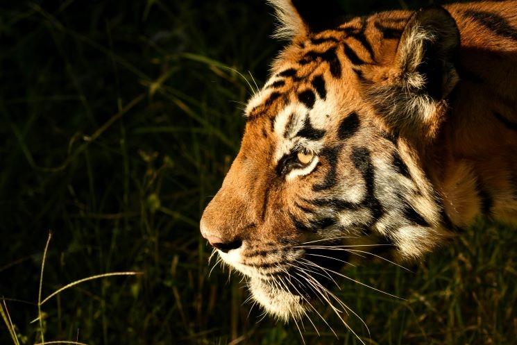 Photo by RAHUL DESHMUKH on Unsplash