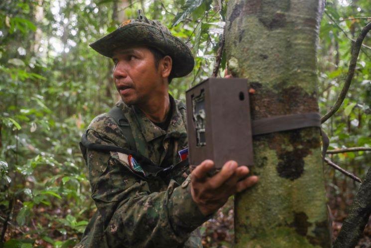 caméras de surveillance forêt du Cambodge