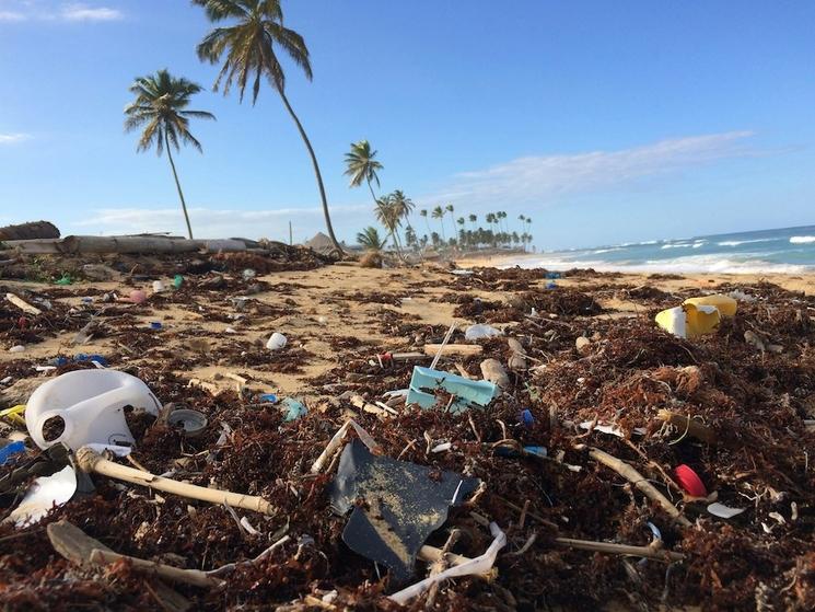 Pollution d'une plage en République Dominicaine