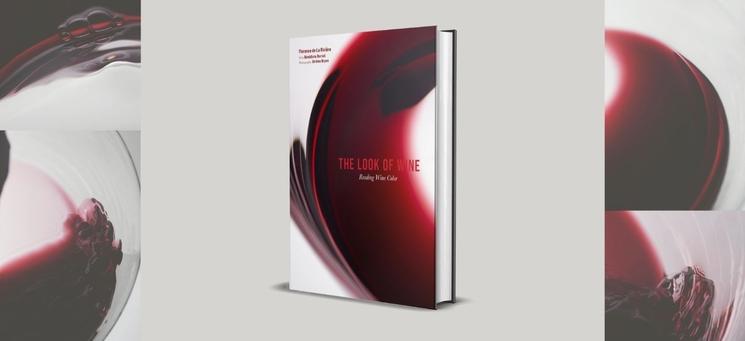 reading-wine-colour-with-florence-de-la-rivierev2