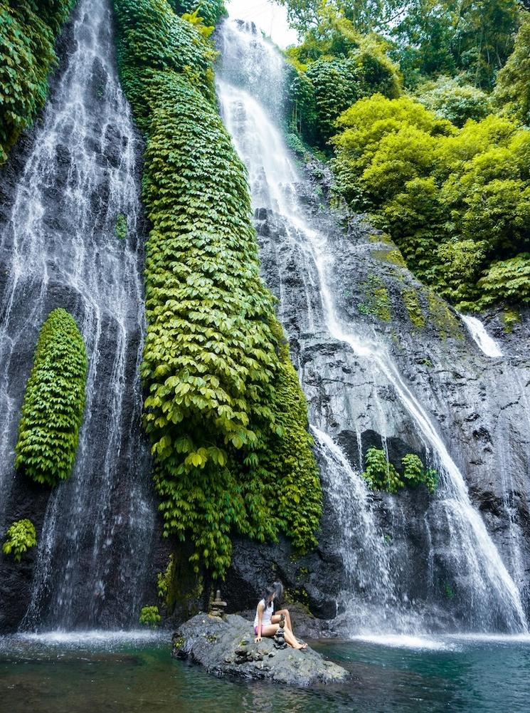 deux cascades côte à côte entourées de végétation