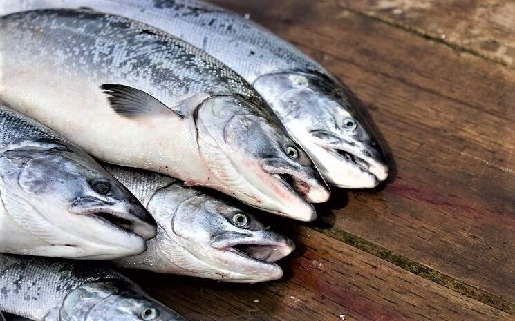 Xinfadi deuxième vague Covid-19