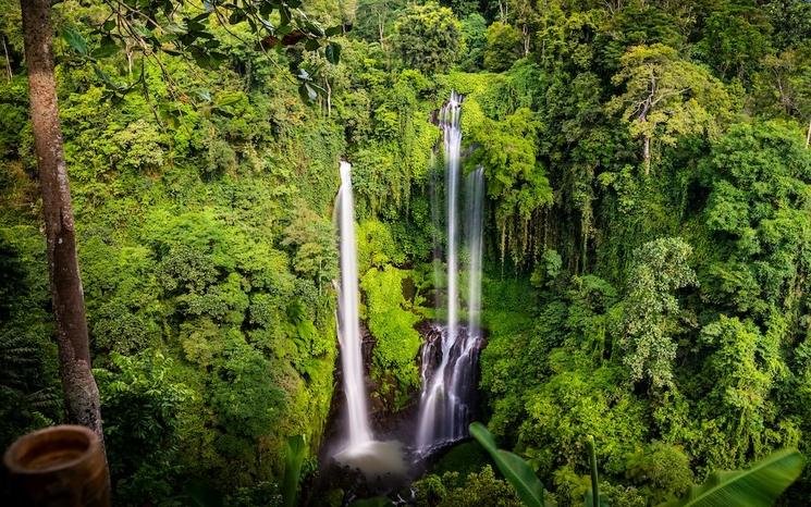 deux très hautes cascades à bali vues de haut au milieu de la jungle