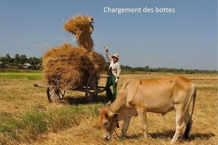 Jean-Michel Gallet, mémoire vivante et défenseur du monde agricole cambodgien