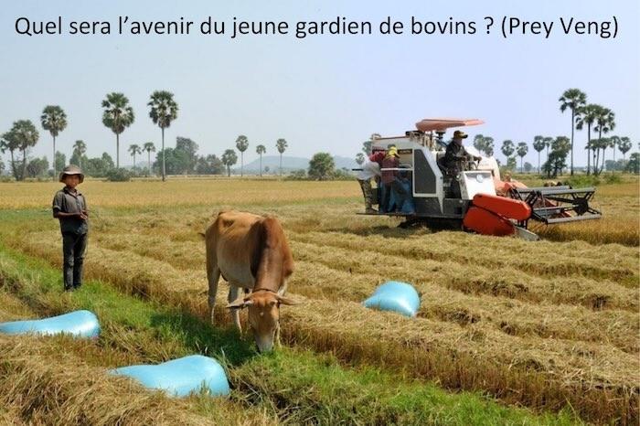 Jean-Michel Gallet, mémoire vivante et défenseur du monde agricole cambodgien