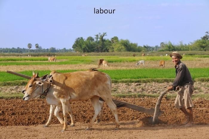 Jean-Michel Gallet, mémoire vivante et défenseur du monde agricole cambodgien