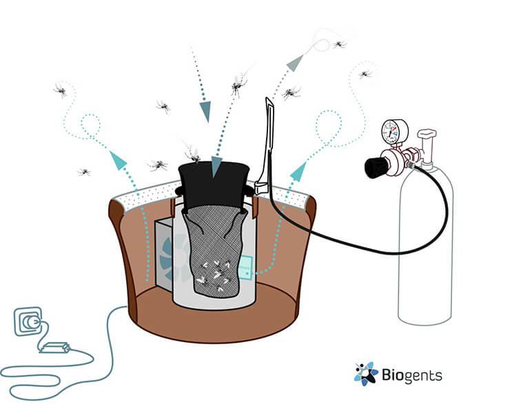 schéma fonctionnement piège à moustiques