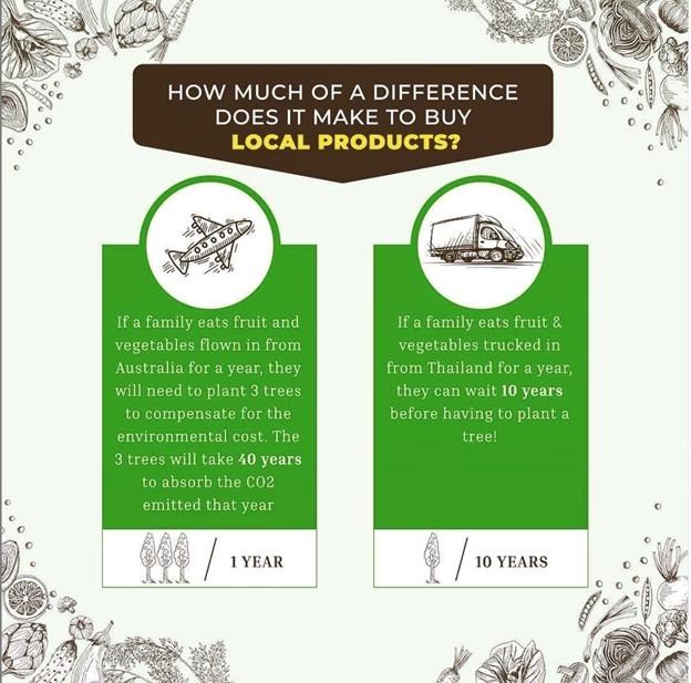 schema transport ecologique