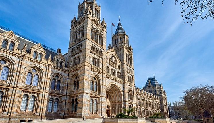 natural history museum