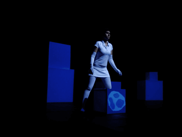 Image du spectacle Petit Bleu Petit Jaune