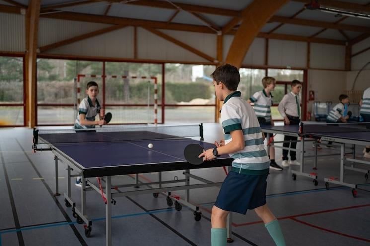 sport