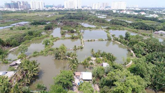 Synny Island aujourd'hui en 2024