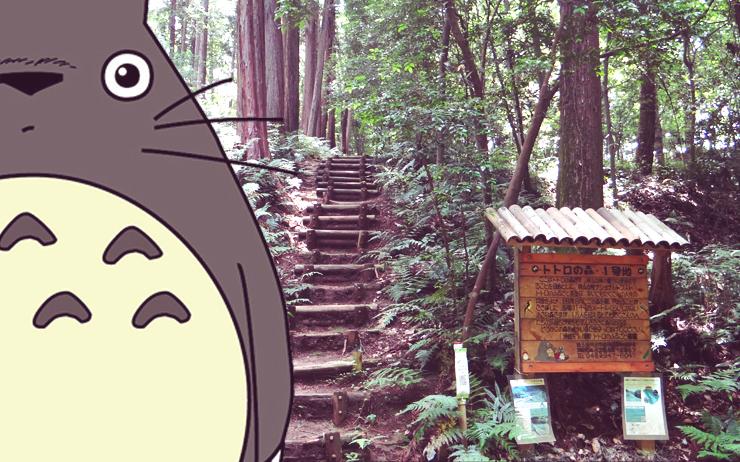 forêt totoro