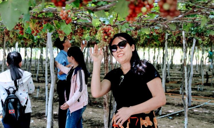 Touriste visite le Festival du raisin et du vin de Ninh Thuan