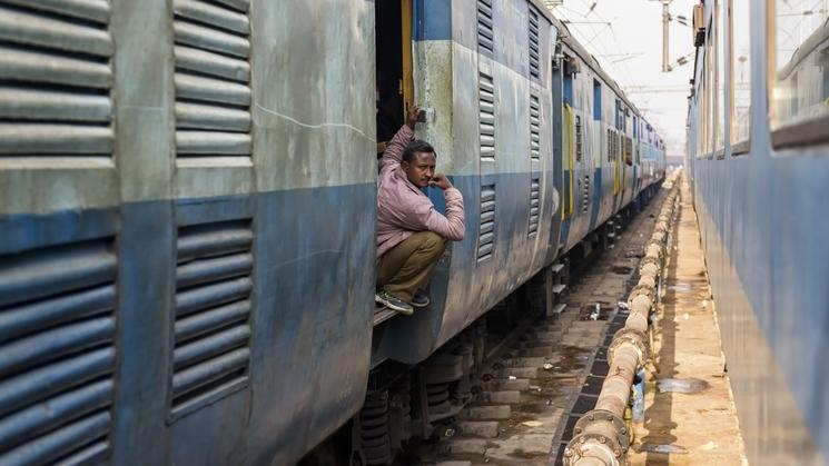 trai india inde vache