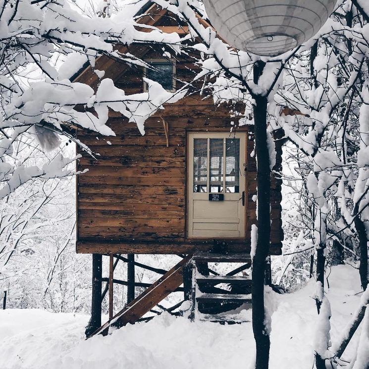 transylvania-log-cabin-cabane-arbres-roumanie