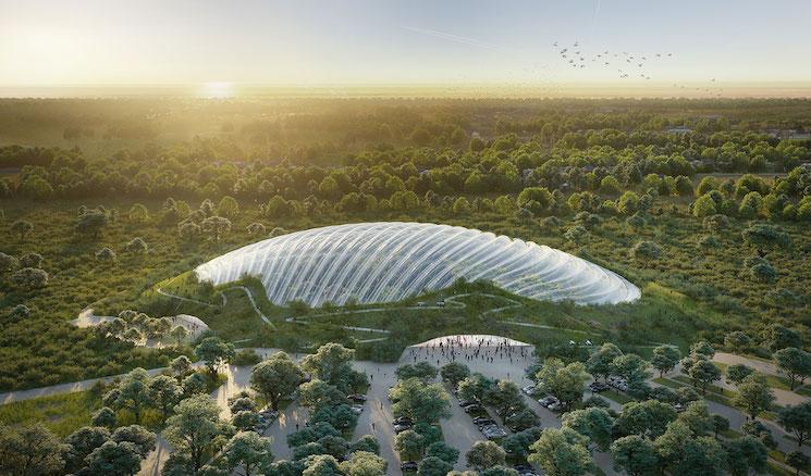 Tropicalia Thomas Coldefy