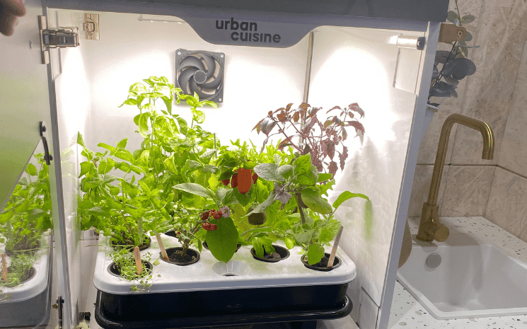 Urban cuisine potager d'intérieur innovant