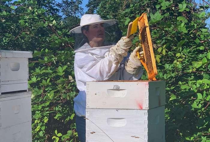 une apicultrice en train de travailler en combinaison sur une ruche d'abeilles