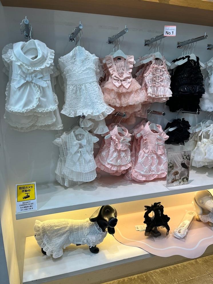 Vêtements pour chien. @Catherine Gruère