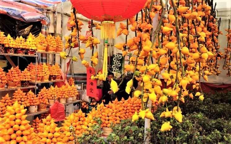 Année du rat de métal Hong Kong 2020