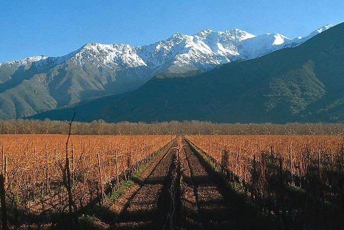 Vin Montagne William Fevre Chile