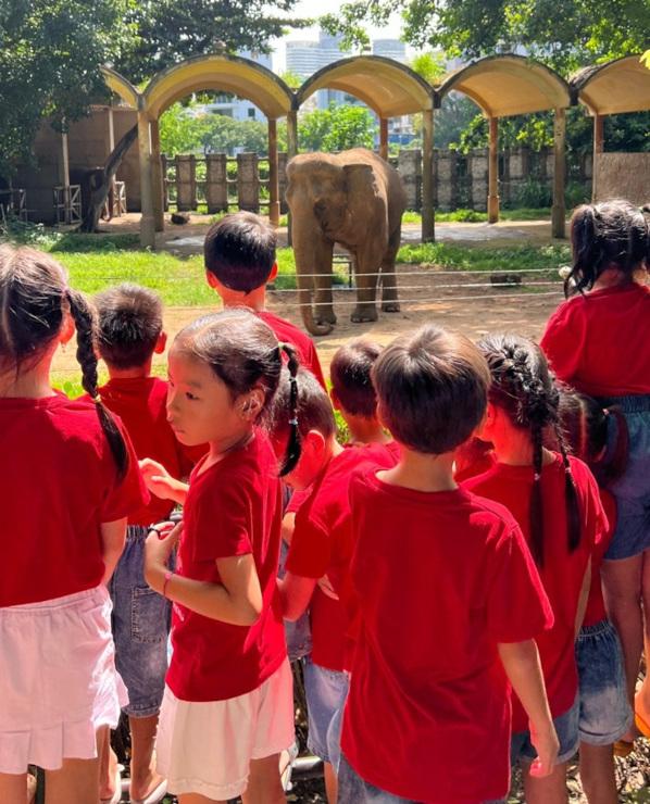 Sortie au Zoo portée par le passeport découverte.