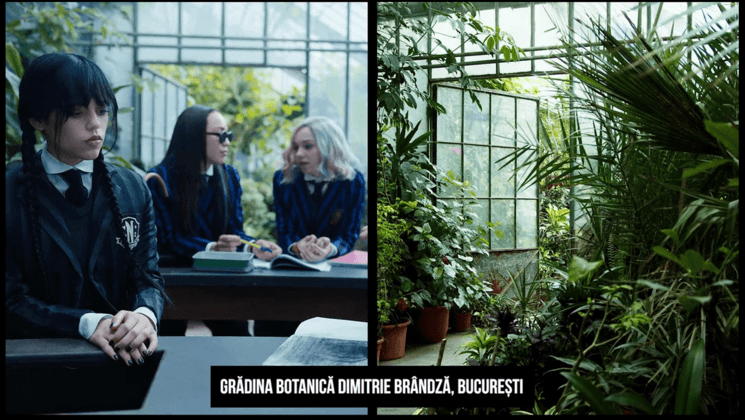 Wednesday série tournée en Roumanie