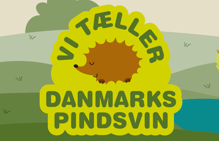 wwf sauve les hérissons de Copenhague