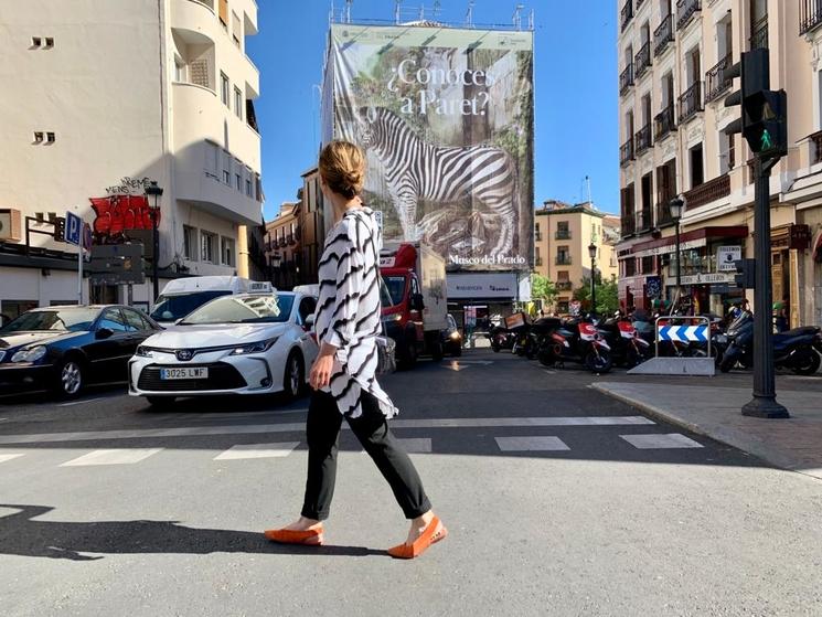 bâche dans la rue avec l'image d'un zèbre